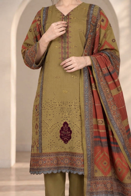 3 PIECE - EMBROIDERED DHANAK SUIT