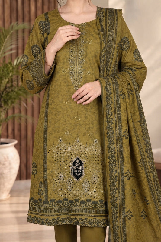 3 PIECE - EMBROIDERED DHANAK SUIT