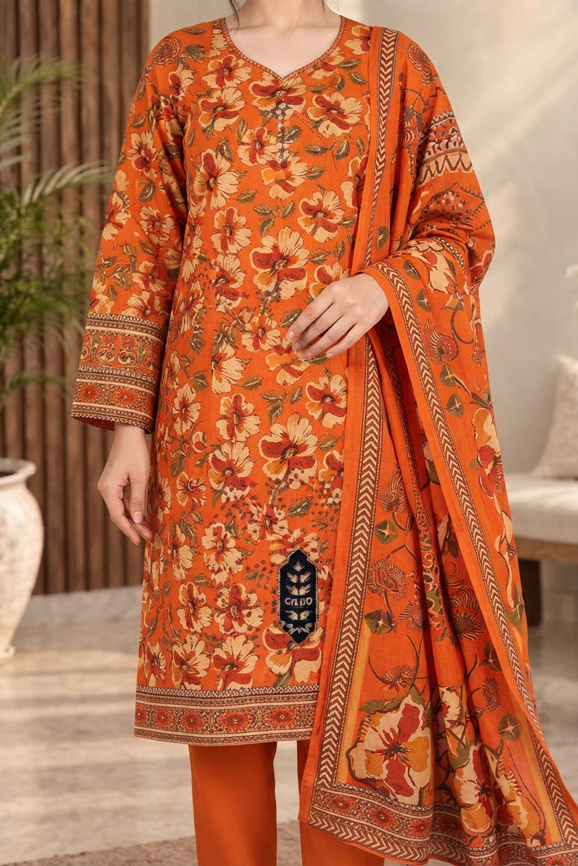 3 PIECE - EMBROIDERED DHANAK SUIT