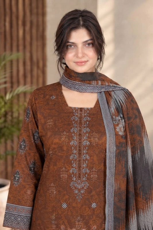 3 PIECE - EMBROIDERED DHANAK SUIT