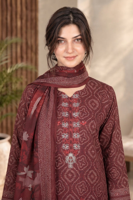 3 PIECE - EMBROIDERED DHANAK SUIT