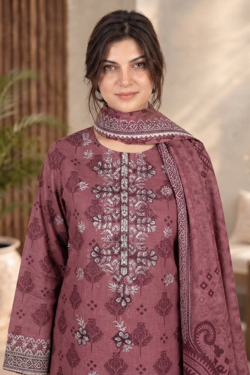 3 PIECE - EMBROIDERED DHANAK SUIT
