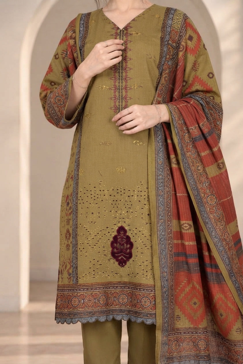 3 PIECE - EMBROIDERED DHANAK SUIT