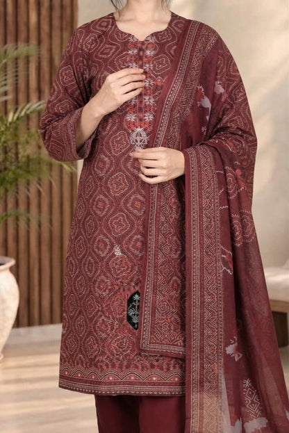 3 PIECE - EMBROIDERED DHANAK SUIT
