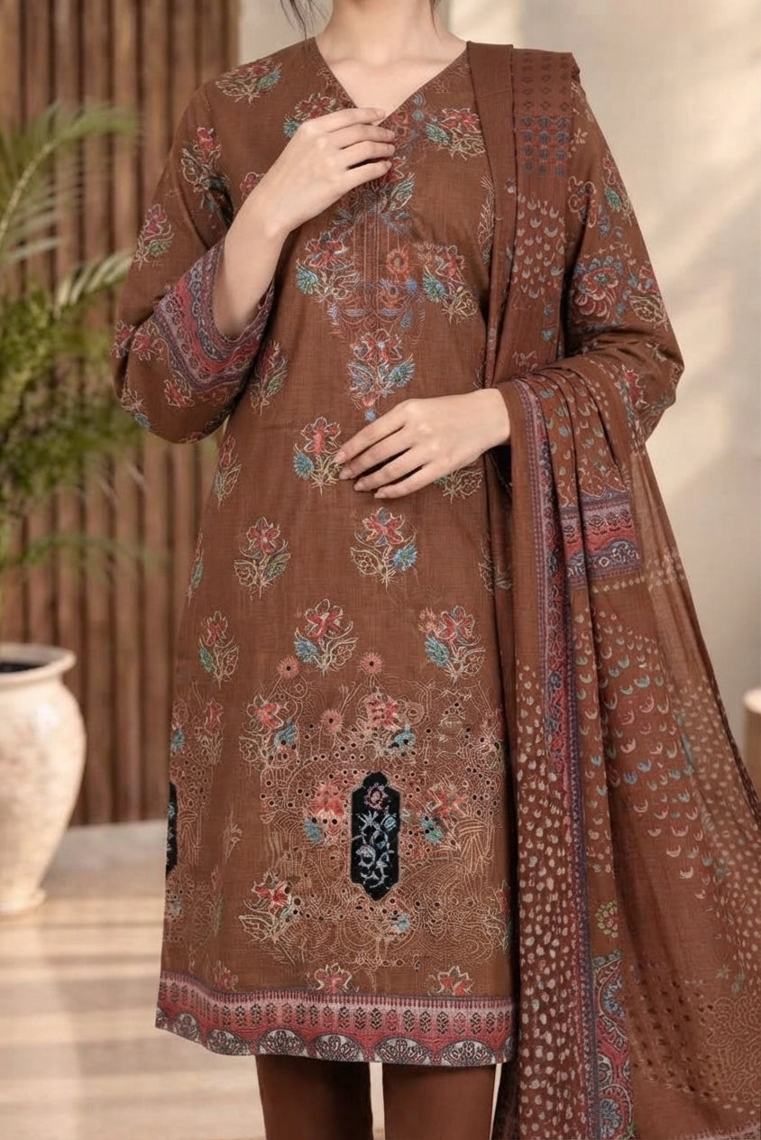 3 PIECE - EMBROIDERED DHANAK SUIT