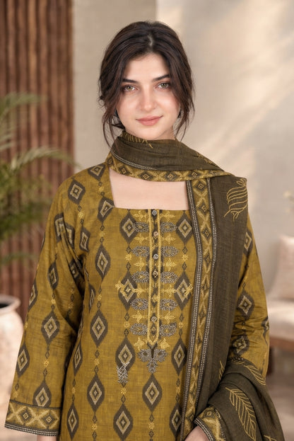 3 PIECE - EMBROIDERED DHANAK SUIT