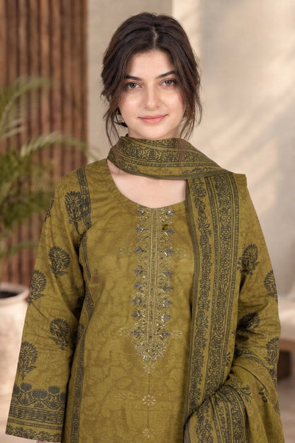 3 PIECE - EMBROIDERED DHANAK SUIT