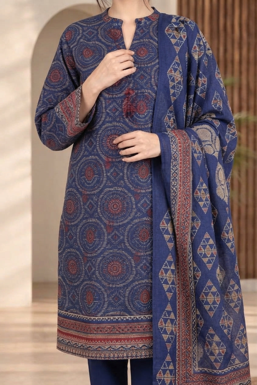 3 PIECE - EMBROIDERED DHANAK SUIT