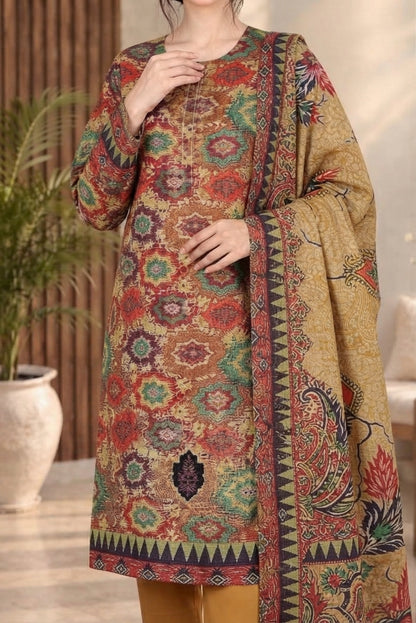 3 PIECE - EMBROIDERED DHANAK SUIT